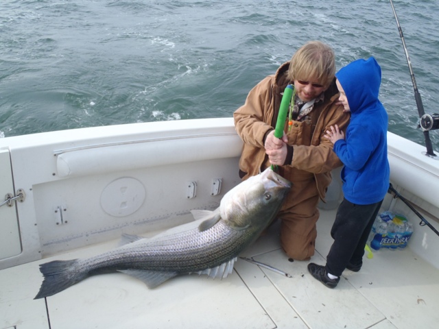 Striped Bass Record Jan 20, 2012