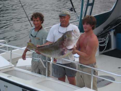 Picture of State Record Golden Tilefish