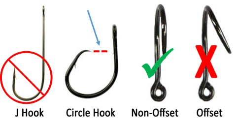 Circle hook dimensions, including angle of offset.