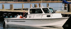 Reef Work Boat