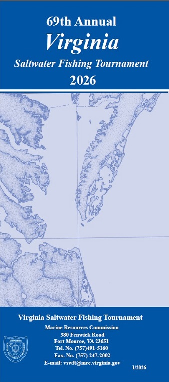 202 vswft brochure cover