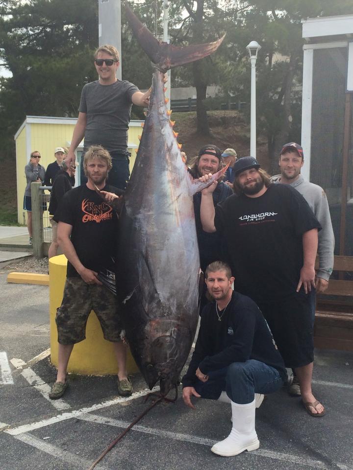 State Record Bluefin Tuna caught by Chase Robinson, of Virginia Beach